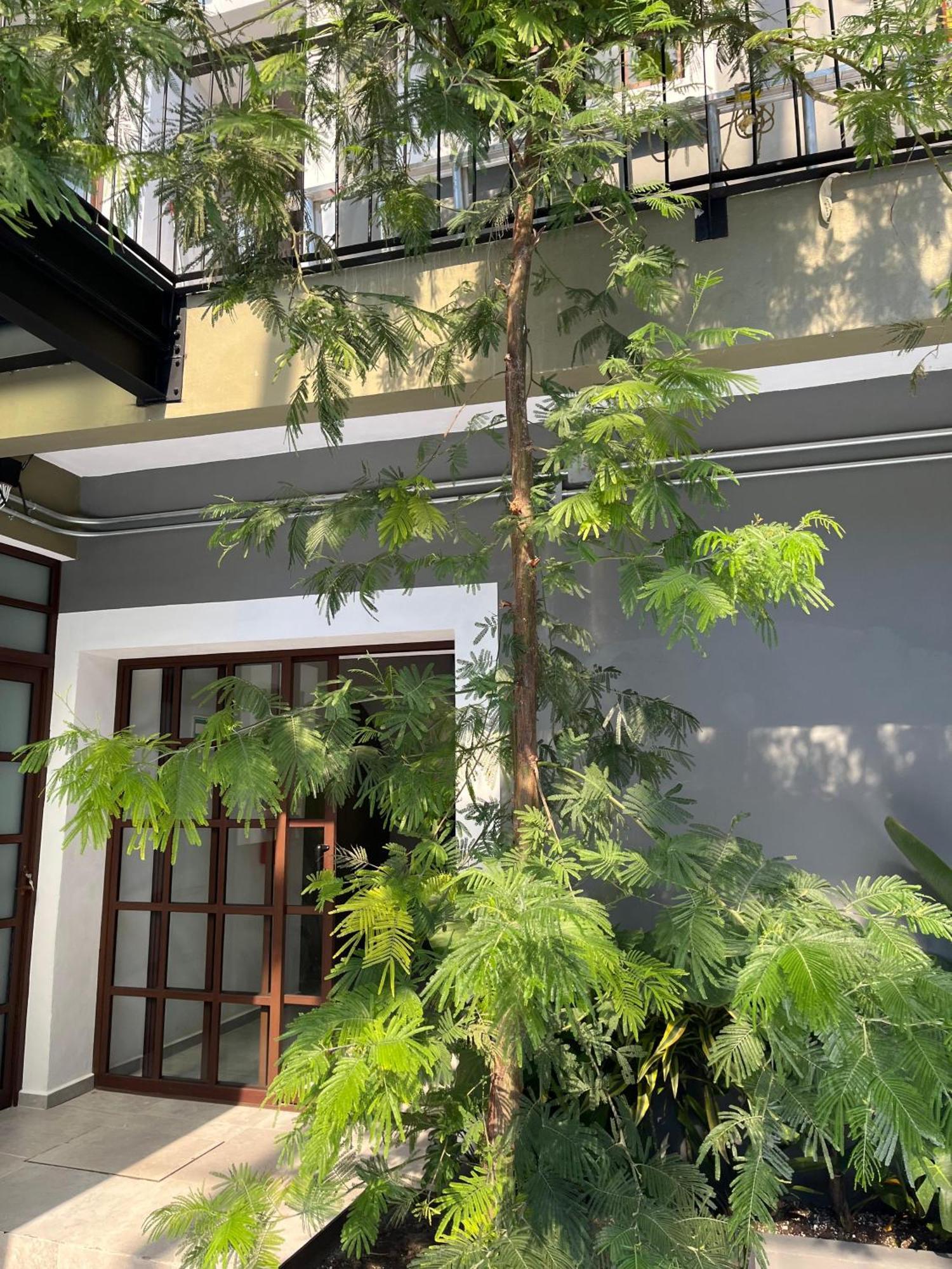 Eonia Ξενοδοχείο Atlixco Εξωτερικό φωτογραφία
